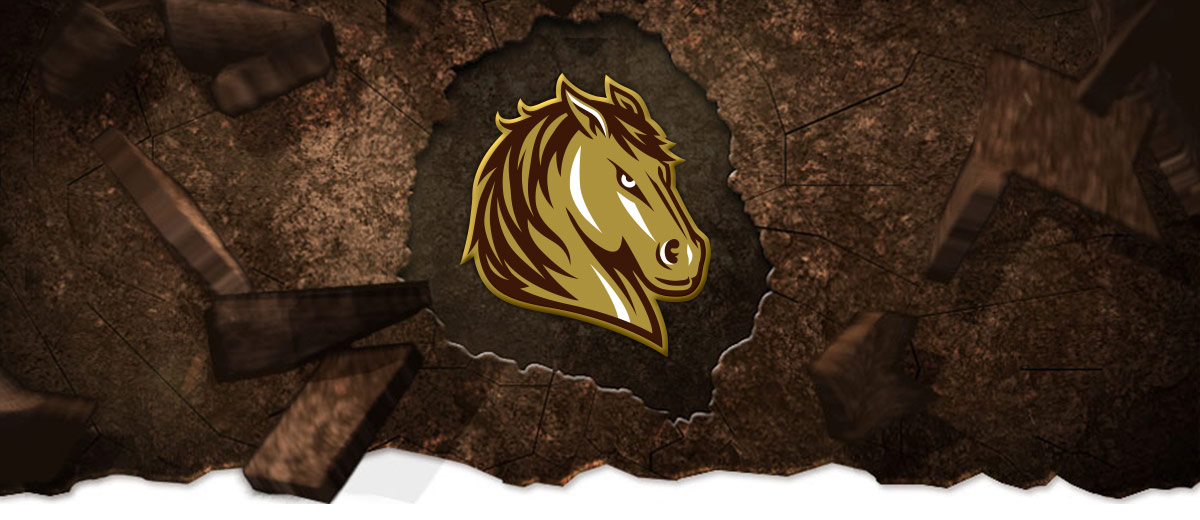 Mustangs 4 Life hero image with the mustang logo