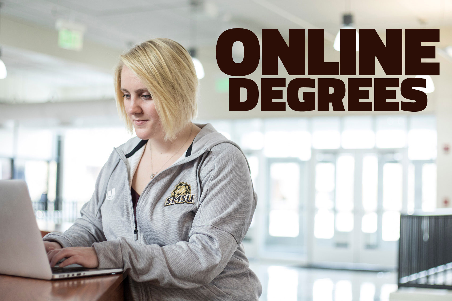 SMSU Online Degrees