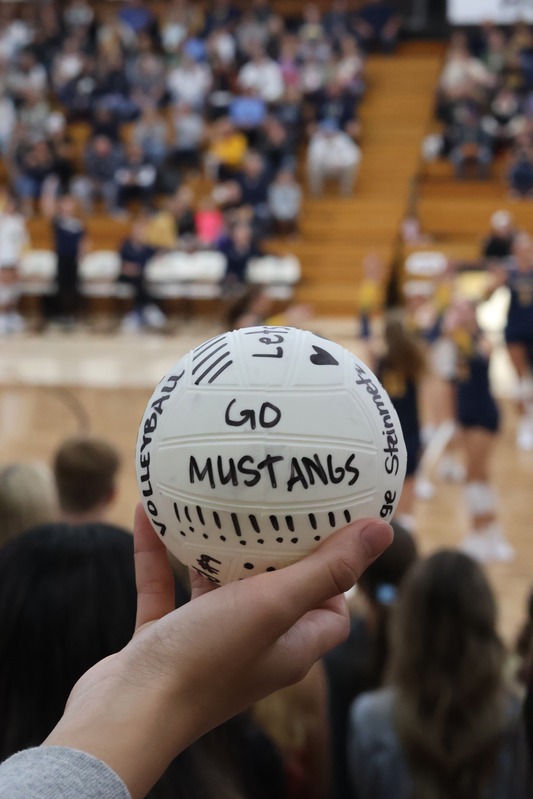 volleyball picture 