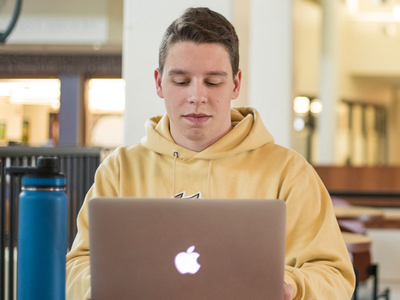 Photo of student applying online