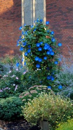 Memorial Garden