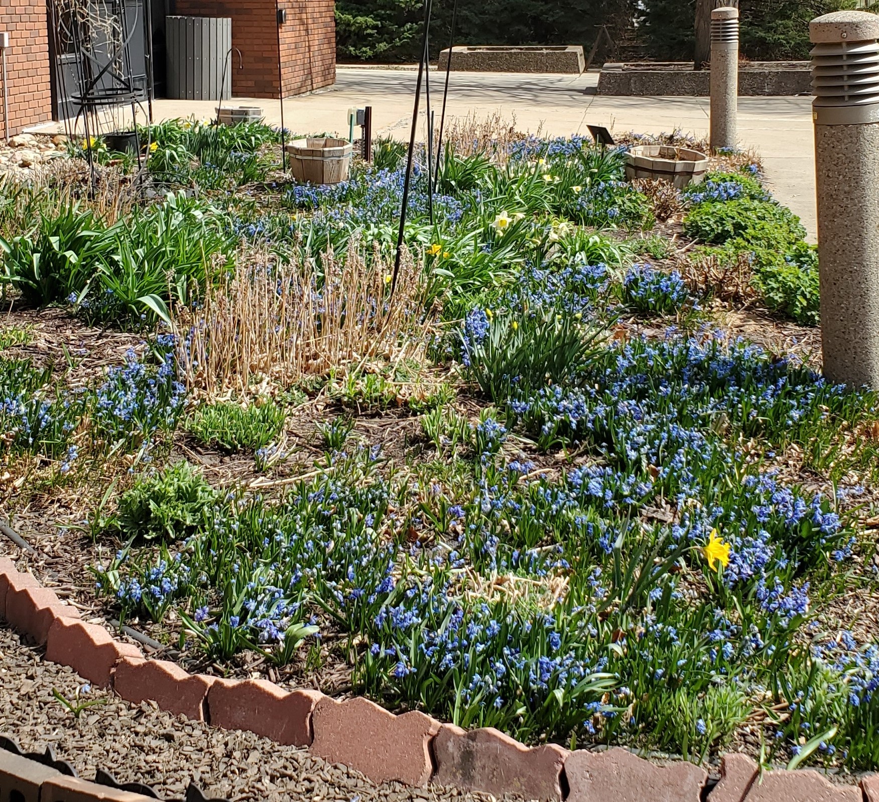 April 2021 garden