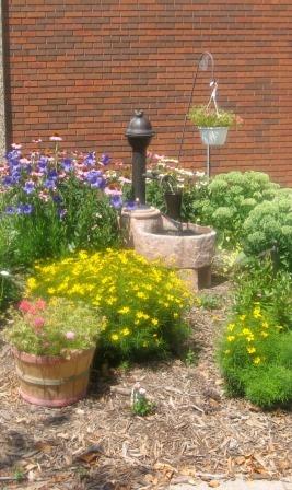 beautiful flowers surrounding the fountains