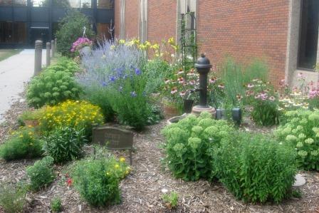 Flowers and fountain