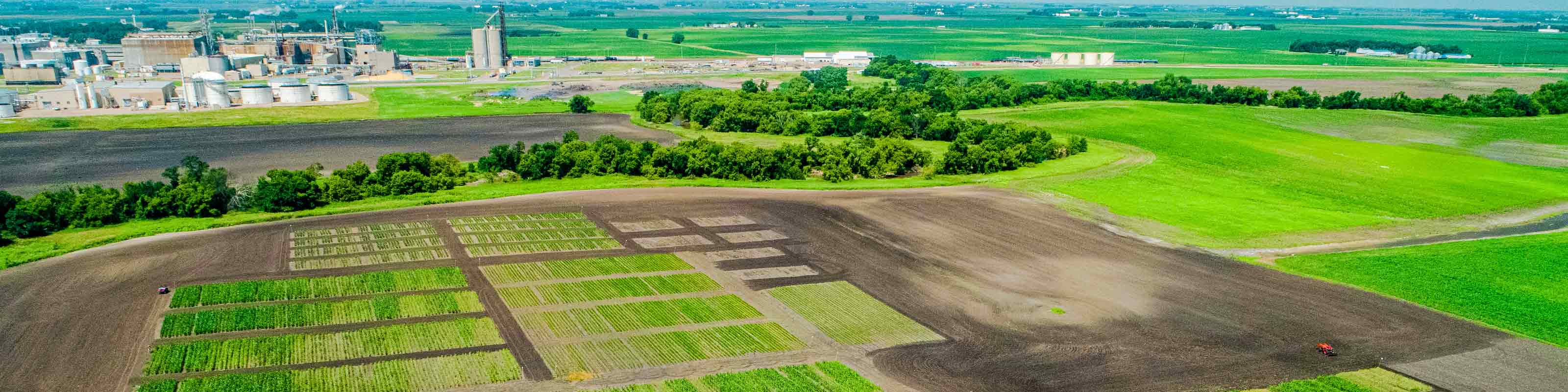 SMSU Agronomy Field