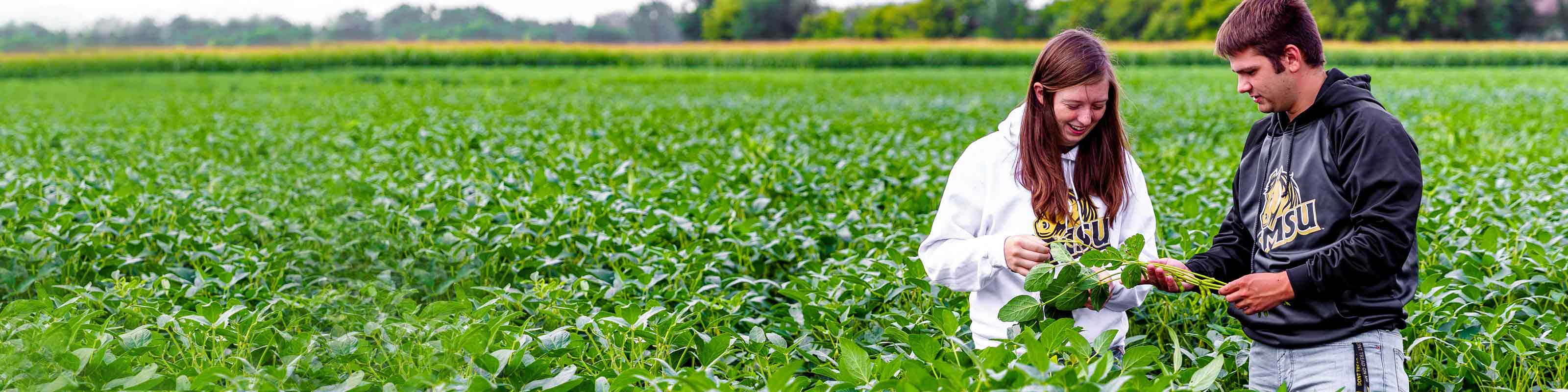 Students in Ag field