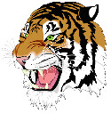 Marshall High School Tiger Image