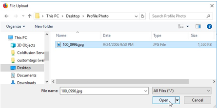 Screenshot of the File Explorer