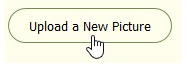 Screenshot of the Upload a New Picture button