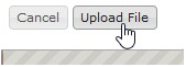 Screenshot of the Upload File button