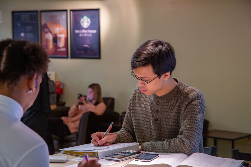 Student Studying in the Library