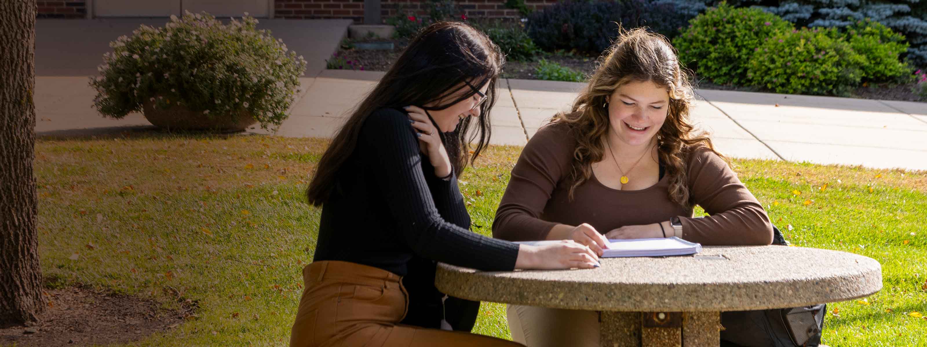 Students studying outside