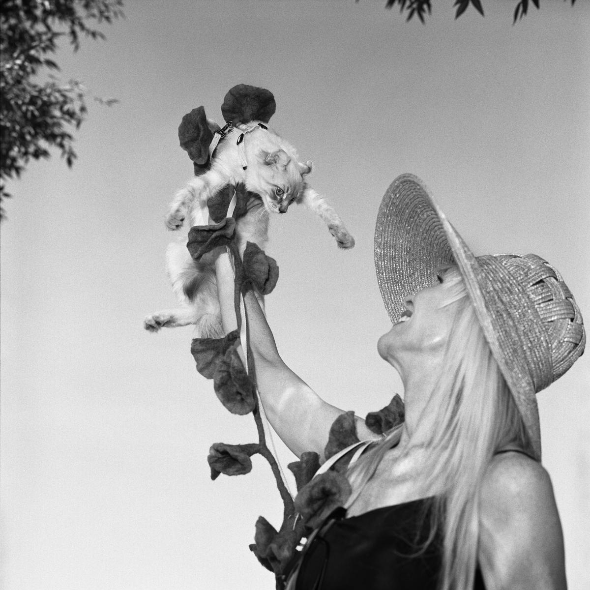 Photo of a woman holding cat above her head. by Jonno Rattman 2011