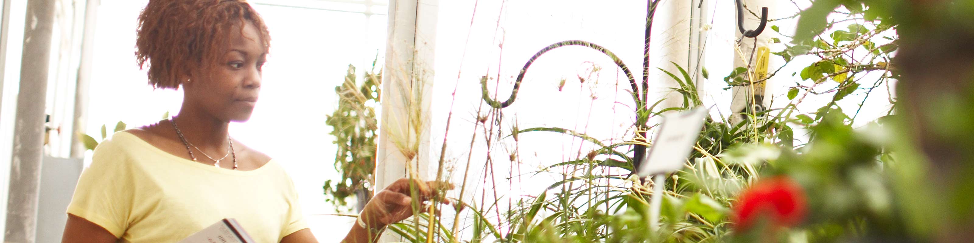 Woman inspecting plants in Greenhouse