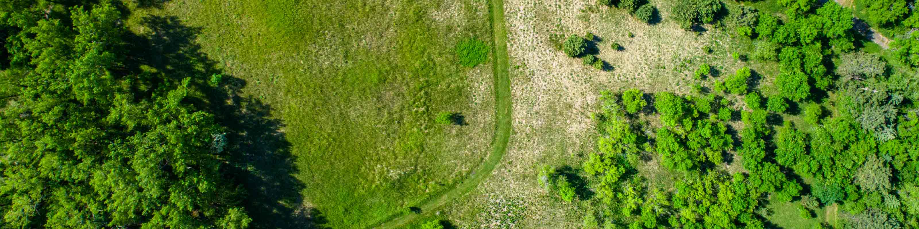 Drone View of Environmental Learning Area