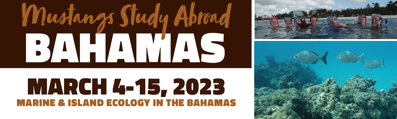 mustangs travel bahamas 2023