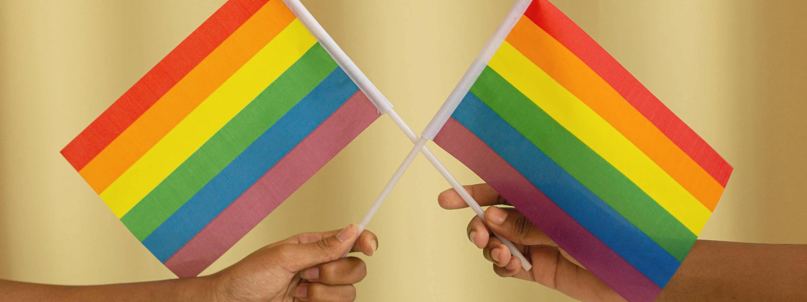 hands holding two Pride flags