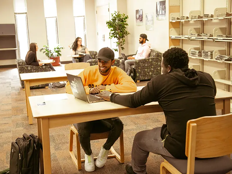 apply to mustang pathway