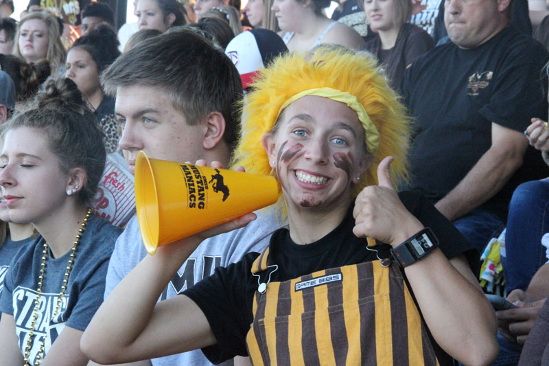 Mustang fan
