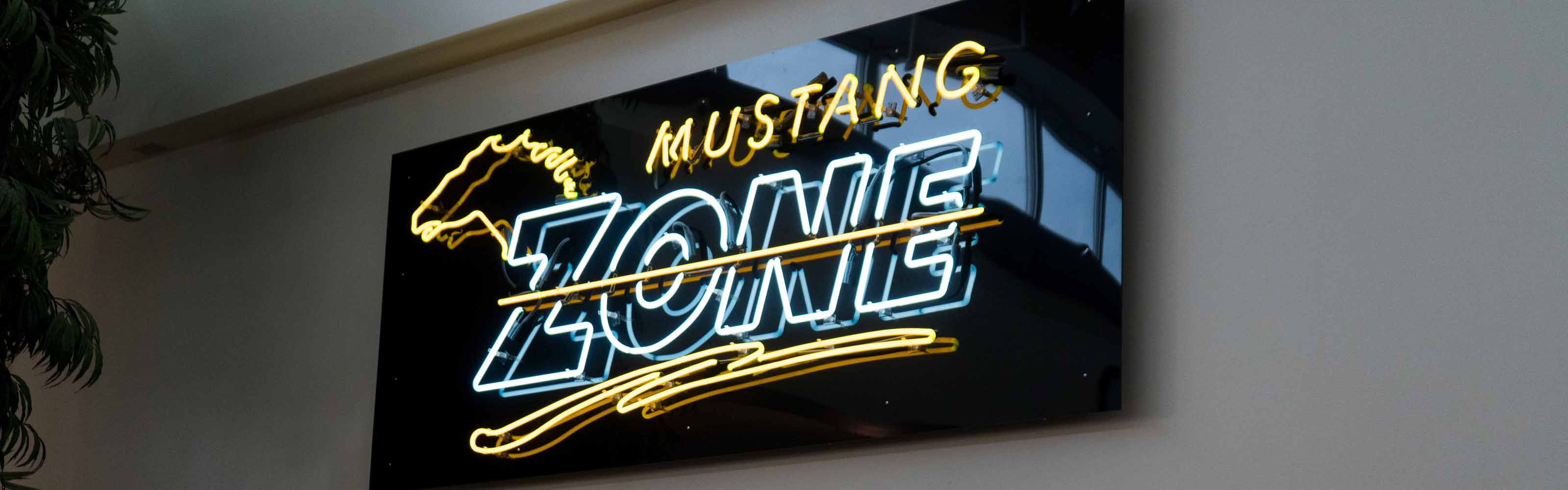 Mustang Zone Sign