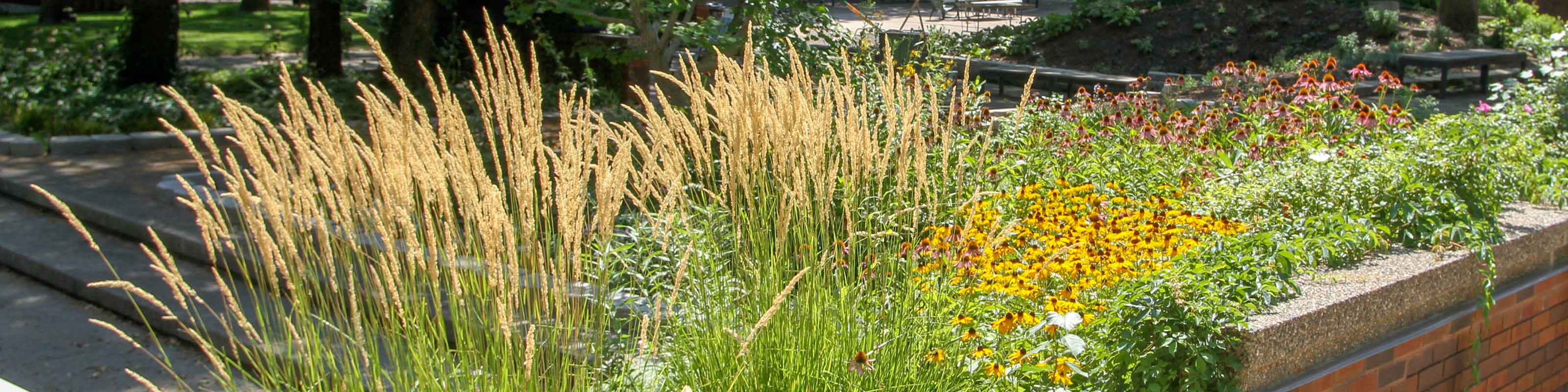 SMSU Campus Garden