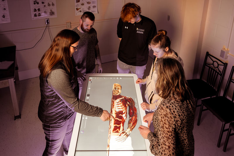 Virtual Cadaver Table