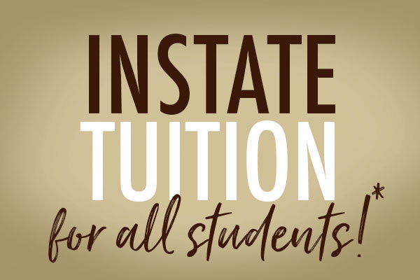 Smsu Southwest Minnesota State University