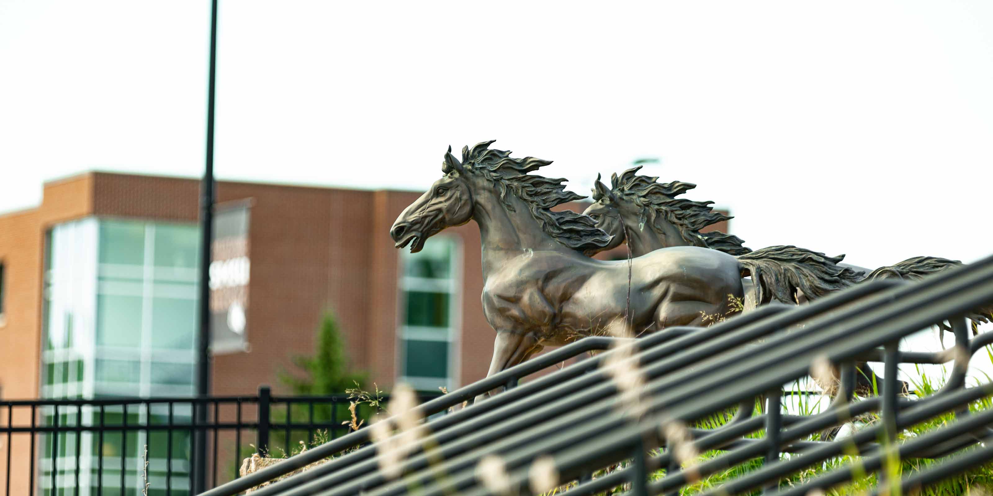 Bronze Mustang Statues