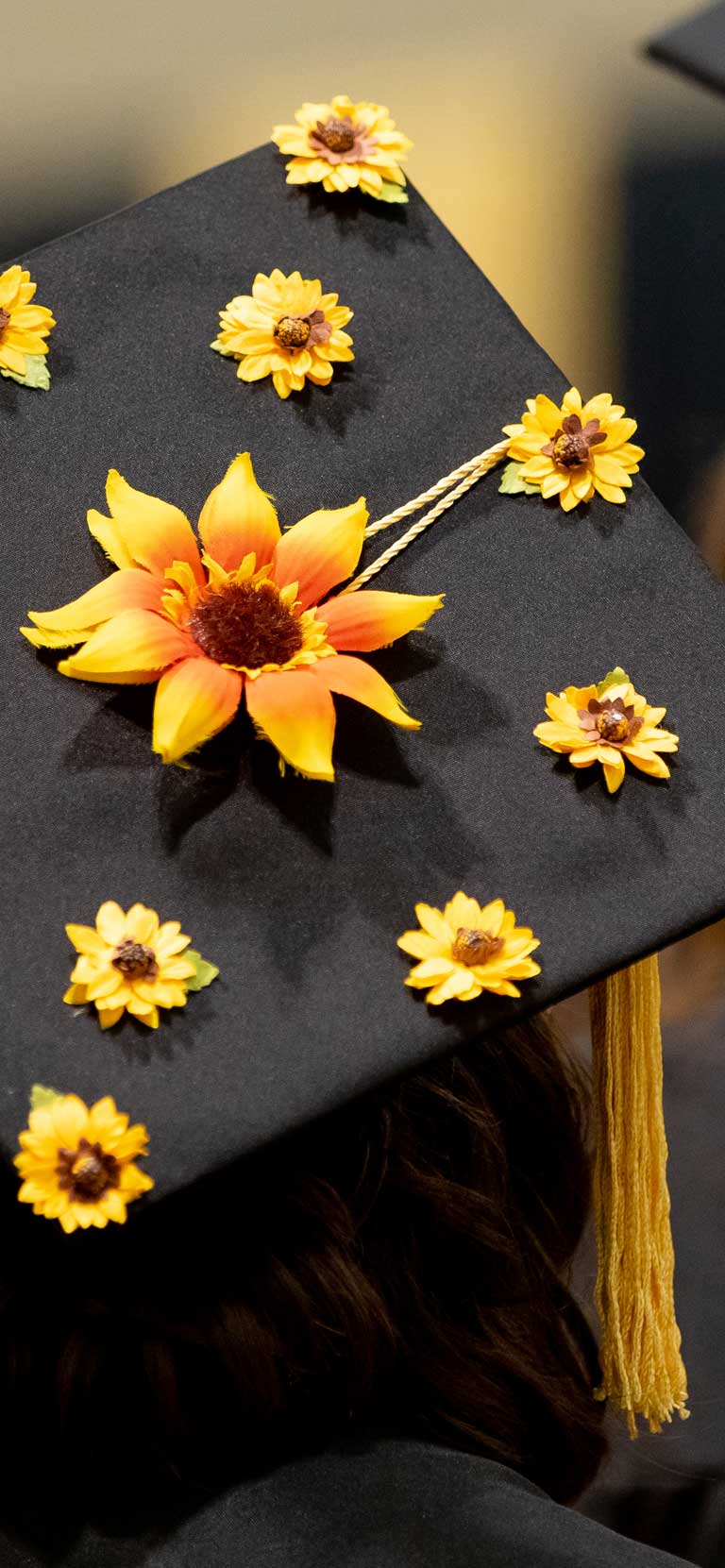 Photos of graduate hat decorated with flowers