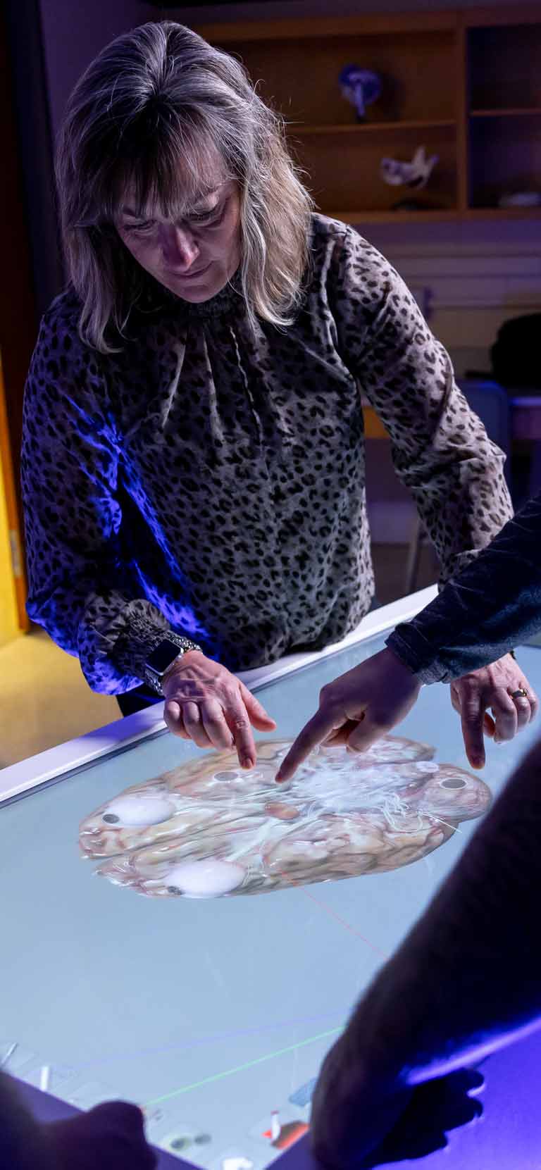 Virtual Cadaver Table