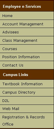 Screenshot of the faculty/staff lefthand menu of E-Services
