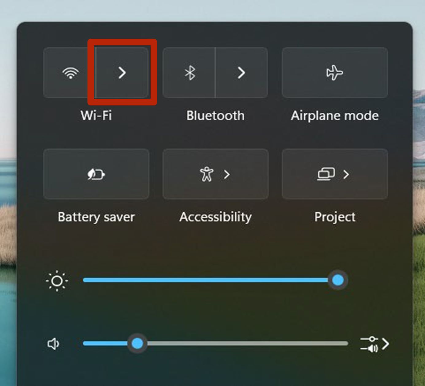A screenshot of a computer displaying the Manage Wi-Fi Connections button. 