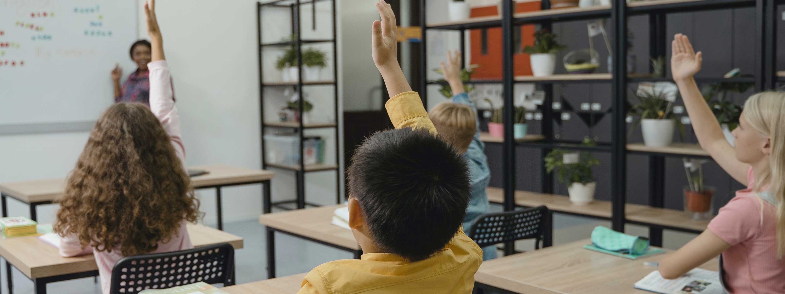 Students raising hands in class