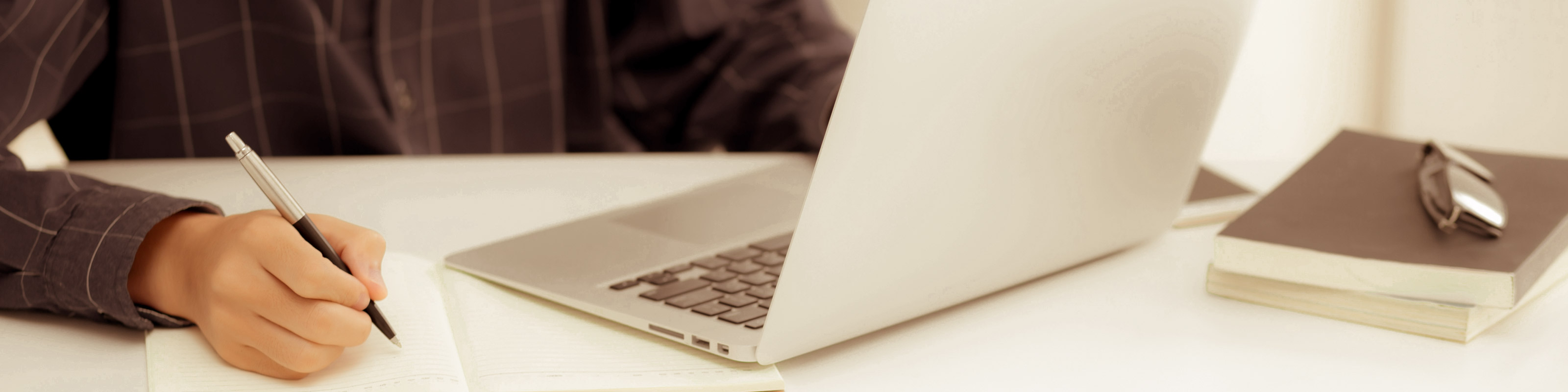 Professional Writing Banner