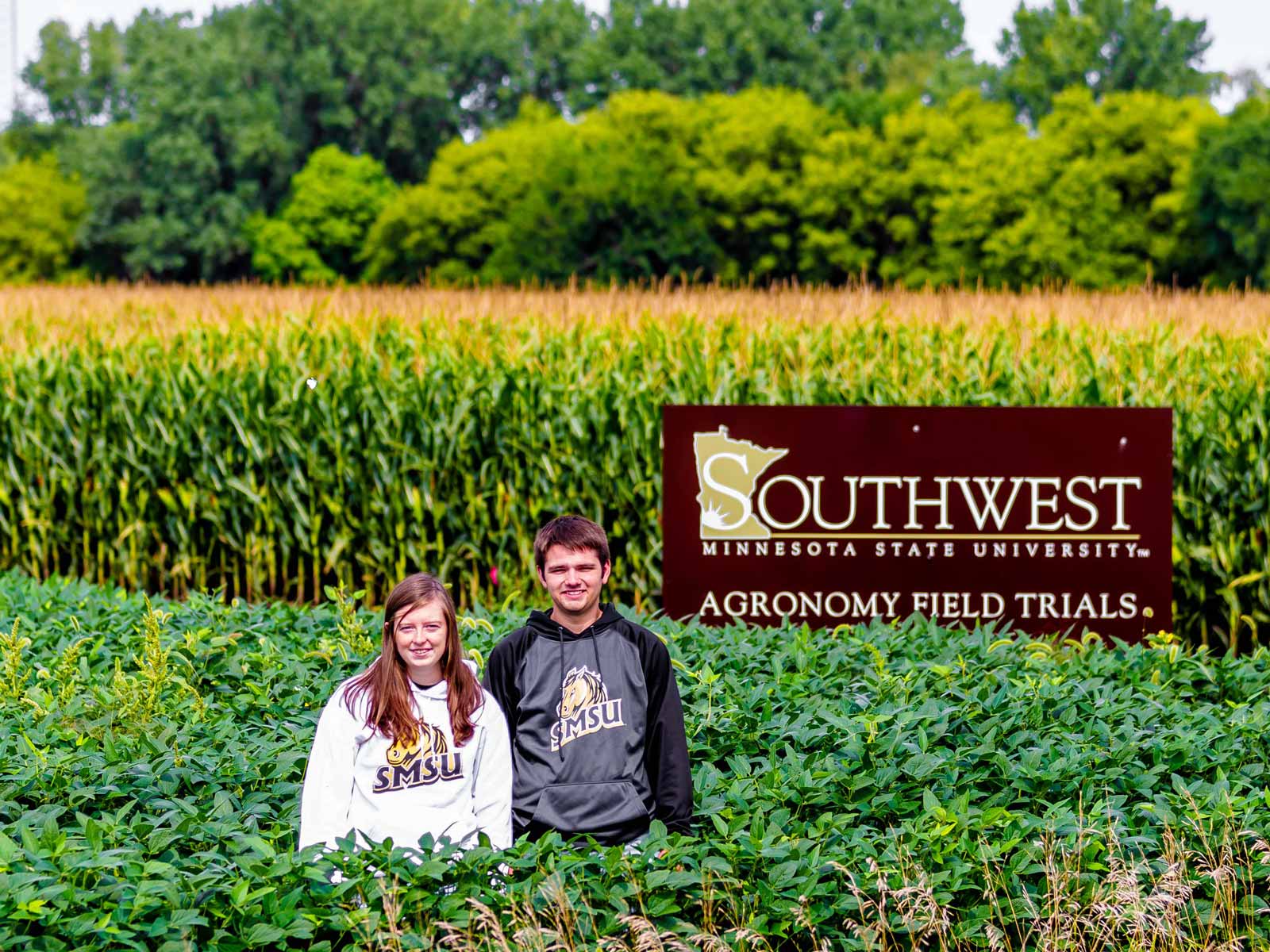 Ag Students at Agronomy Field Trials
