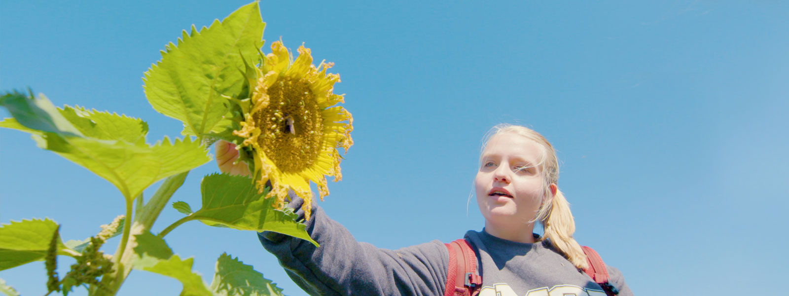 Study Agricultural Education At SMSU!