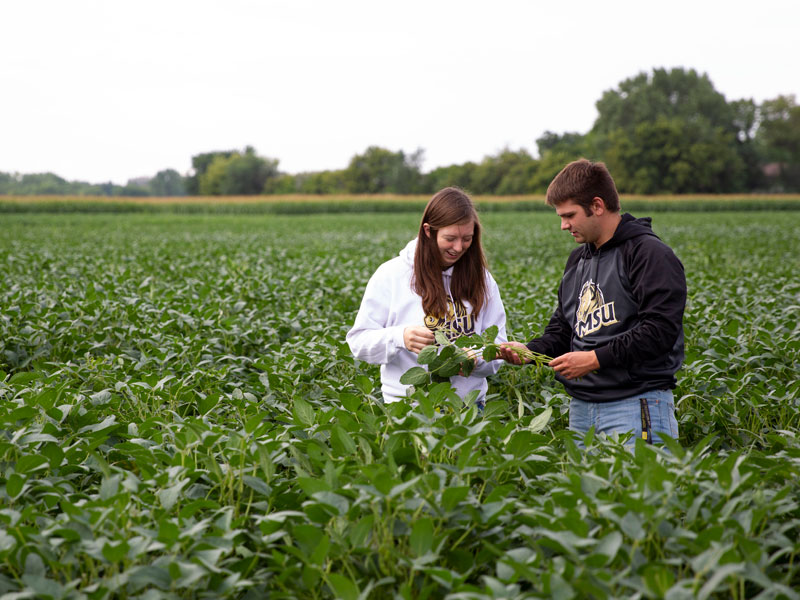 Students in a field