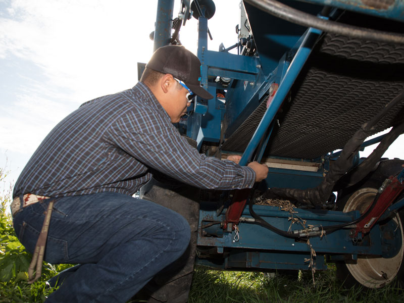 Working on a combine