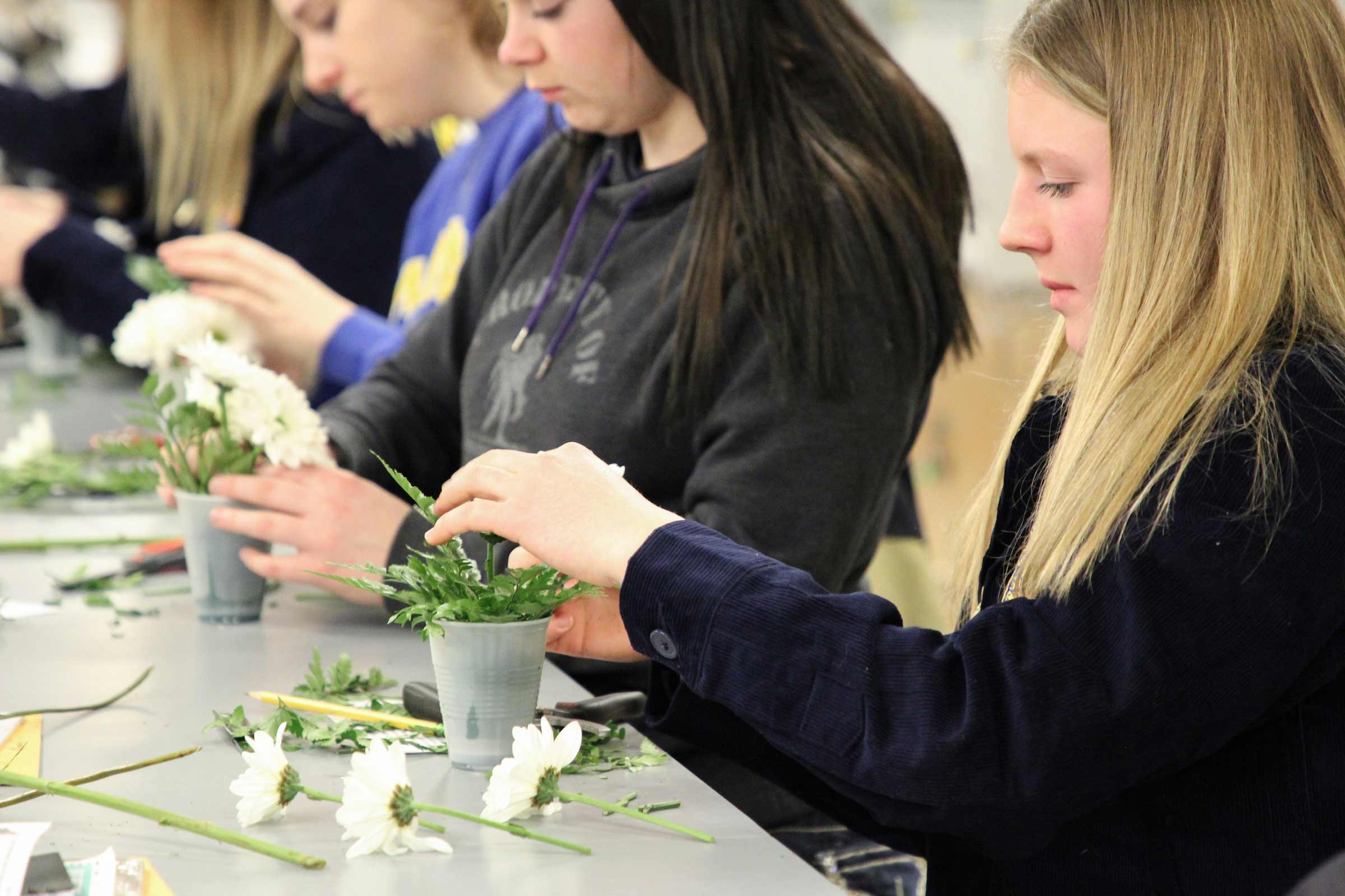 FFA Students Participate in CDEs during AgBowl