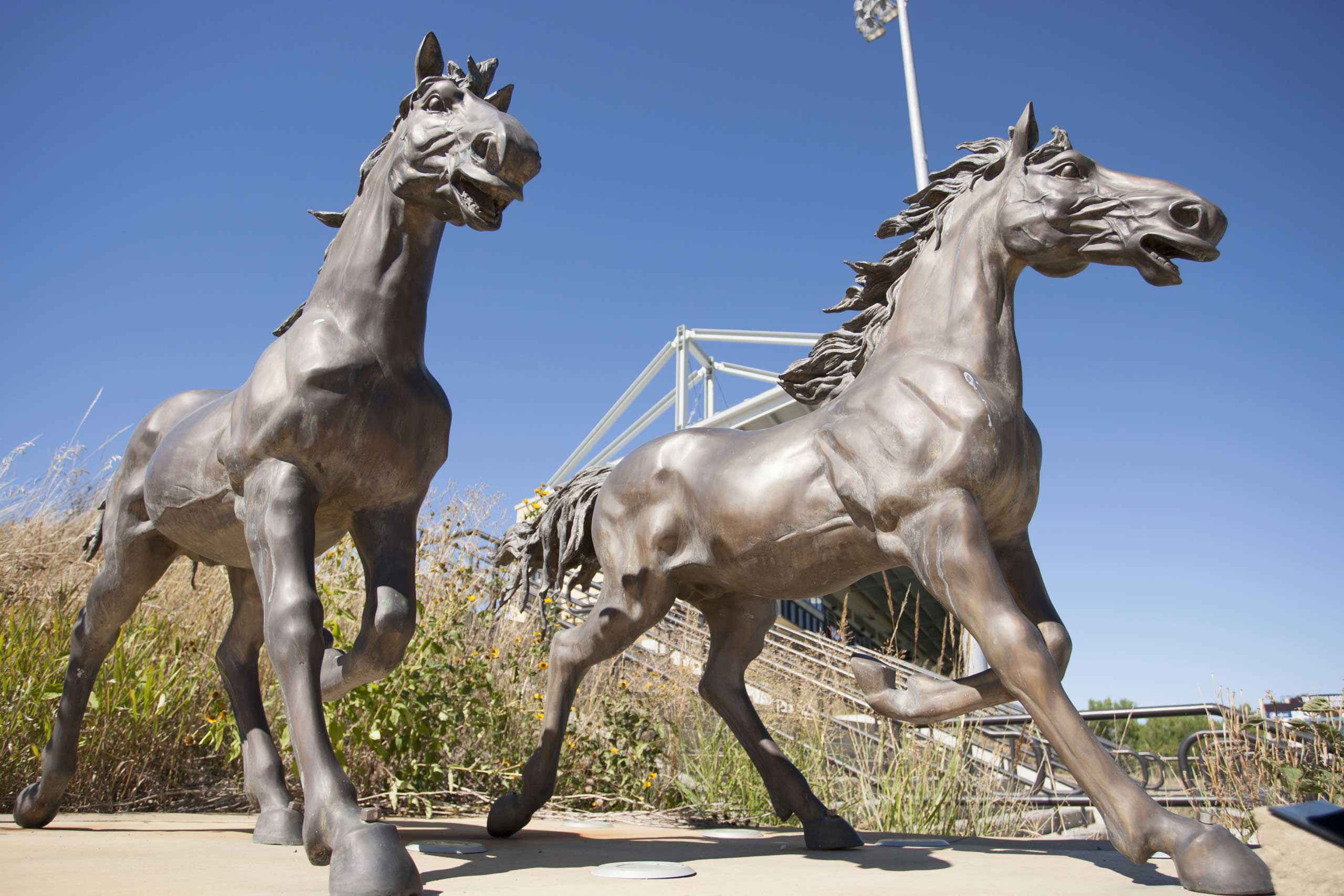 Photo: SMSU to get $1.2M from State Bonding Bill